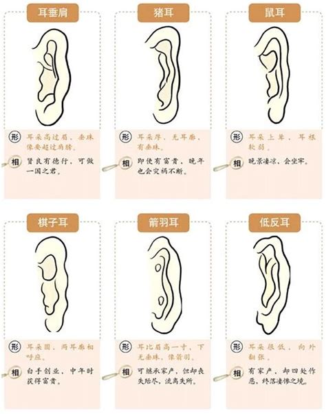 耳垂朝口|面相耳朵图解【最详细版】 – 杨易德全集官网